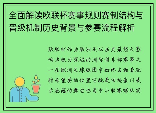 全面解读欧联杯赛事规则赛制结构与晋级机制历史背景与参赛流程解析